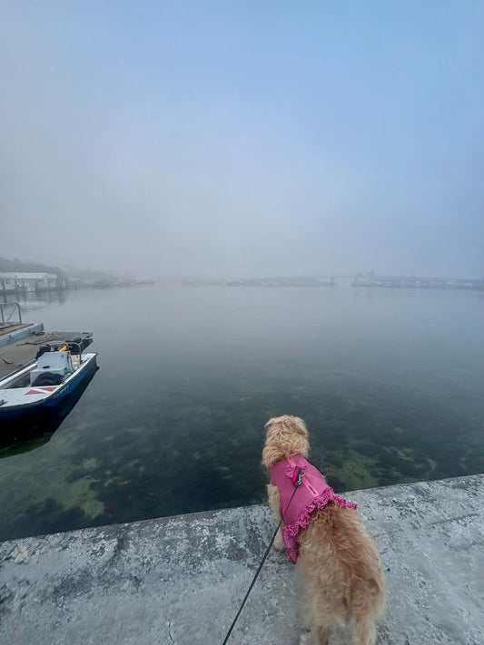 Soft, small brave steps