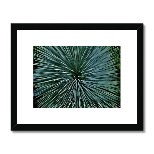 Nature's design Framed & Mounted Print