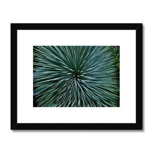 Nature's design Framed & Mounted Print