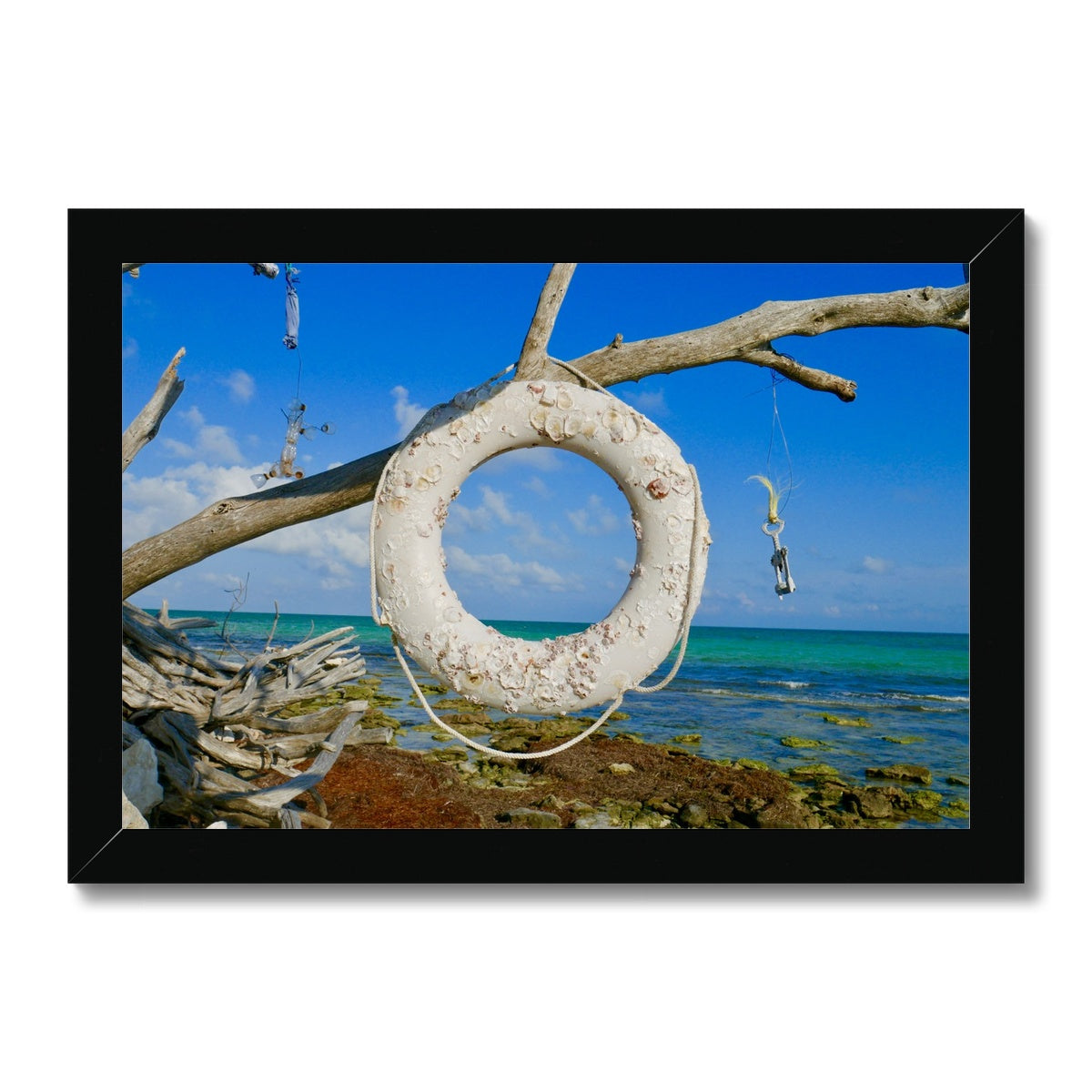 Life Ring Framed Print