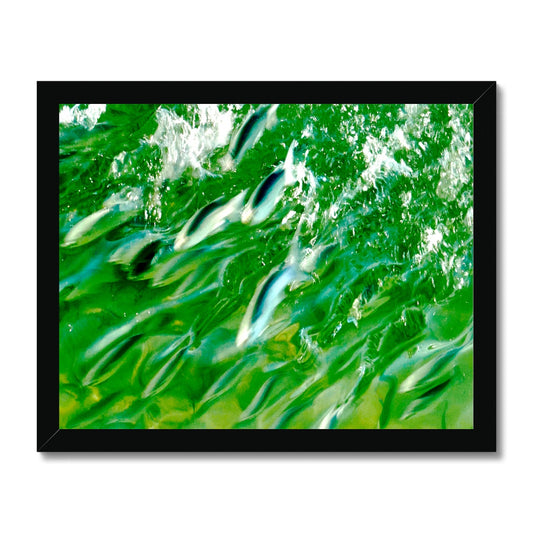 "The Common Good" Framed Print