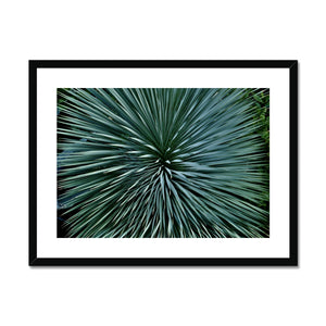 "Nature's design"Framed & Mounted Print