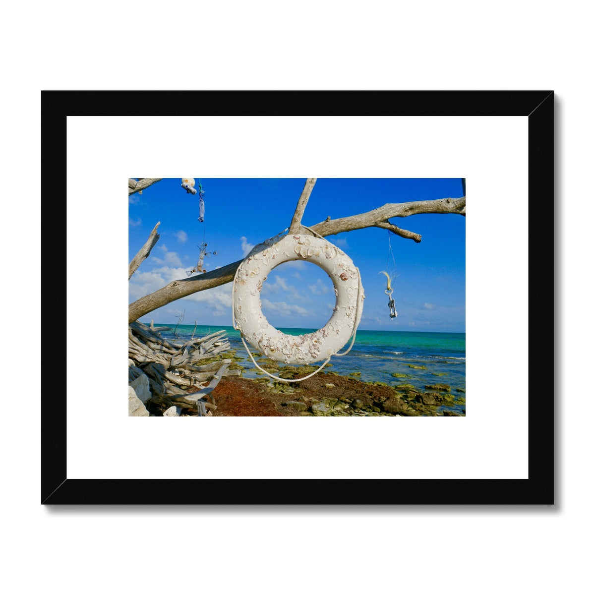 Life Ring Framed & Mounted Print