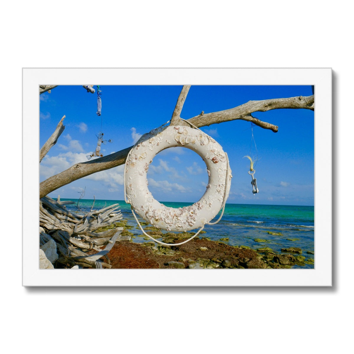 Life Ring Framed Print