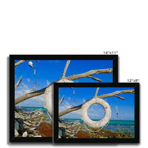 Life Ring Framed Print