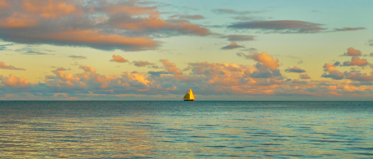 Sail Again Panoramic Canvas