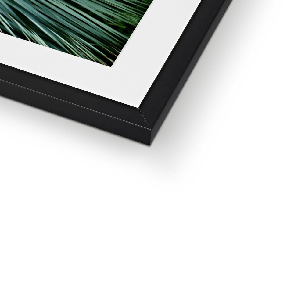 Nature's design Framed & Mounted Print