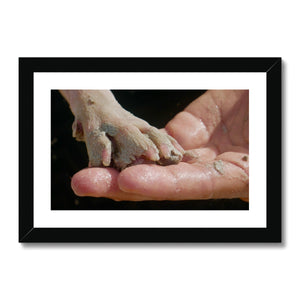 "Unconditional Love Framed & Mounted Print